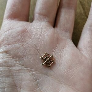 Gold Spider Web Charm